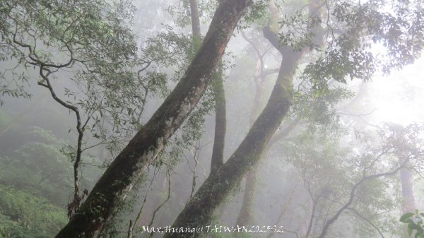 《雲林》望好望角｜石壁山嘉南雲峰步道(中側登山口）202506072805480