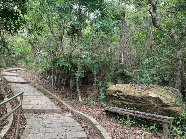 大崙頭尾山親山步道2767174