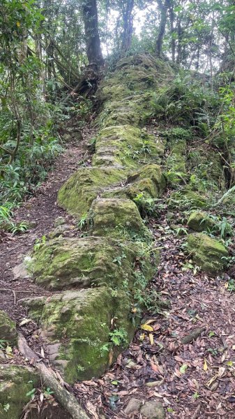 微笑山⛰️線-大棟-二格山-五分山-天上山-鳶山💎12條步道完成💙2834169
