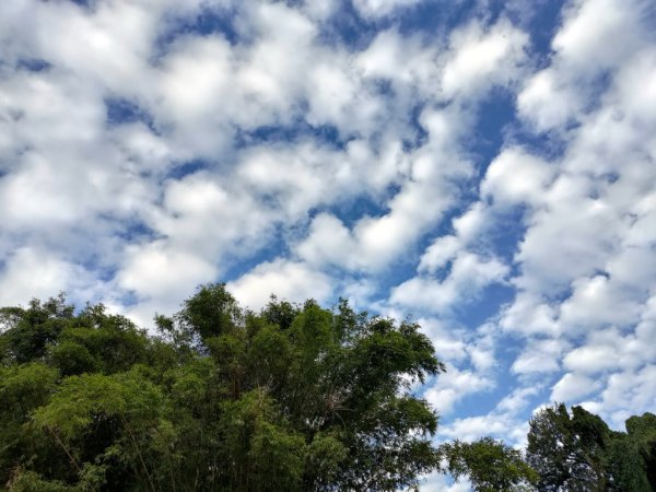 【新竹縣芎林鄉】文林古道2833062