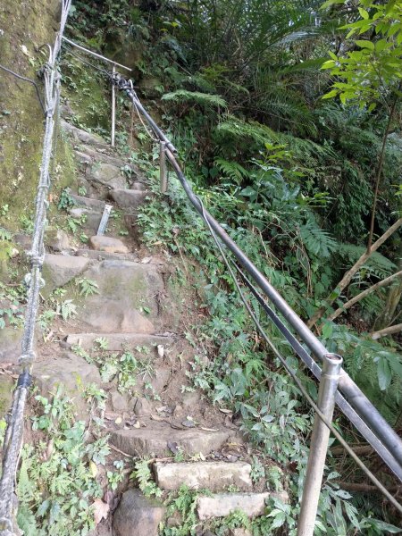 南港山攀岩步道探察 & 四獸山步道1423241