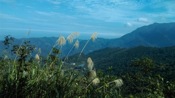 20151205南庄向天湖山,光天高山27686