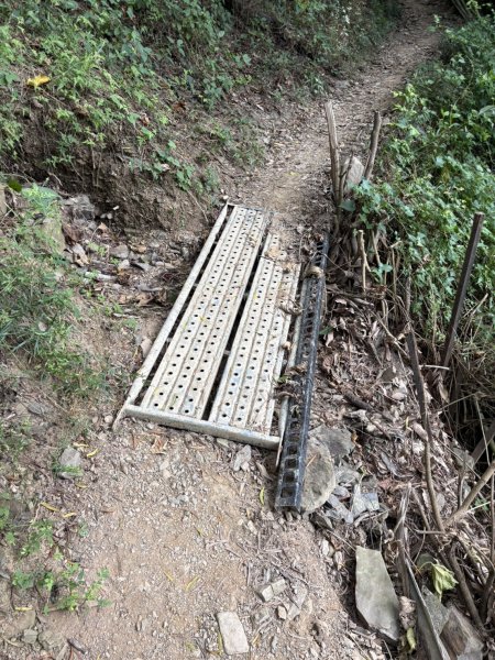 20251109棚集山步道2935245