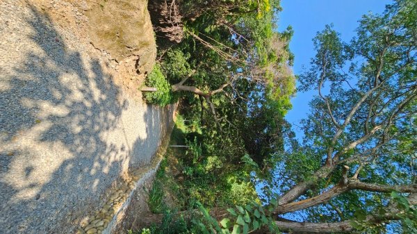 【誰是本尊？誰又是分身？】解鎖第53座小百岳#038鐵砧山2903835