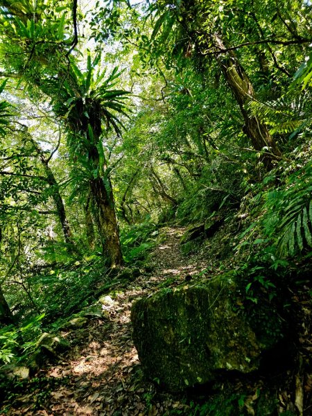 灣潭古道(淡蘭中路)-新北市雙溪區2882670