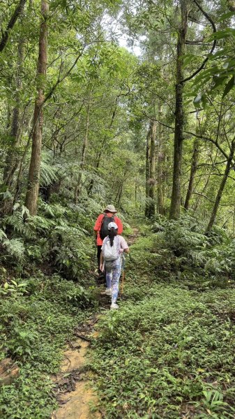 20250803枋山坑古道2850494