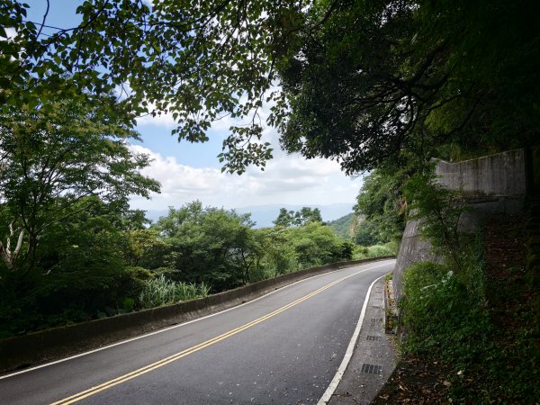 [淡蘭古道] 2026_0531 北路第四段_金字碑古道(中)-山羌3071061