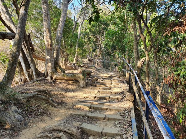 南觀音山步道（小百岳）1259919