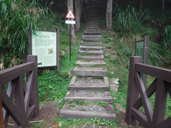 【公告】塔山步道施工改善 延至110年1月4日起封閉
