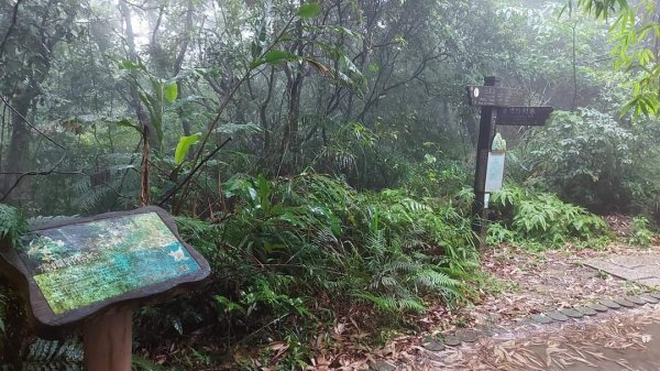 小百岳NO.14 深坑土庫岳。更寮古道 山豬窟尖，小南港山，南港山水綠生態公園2257363