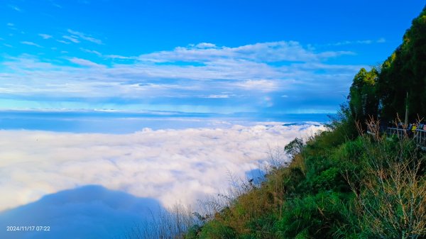 阿里山 #隙頂二延平 #頂石棹 #觀音圈 #雲海 #琉璃光 #雲瀑 #霧虹 11/172649782