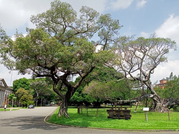 2-1 國立成功大學校園巡禮《臺南親子、人文、藝術、建築、美食之旅》1828038