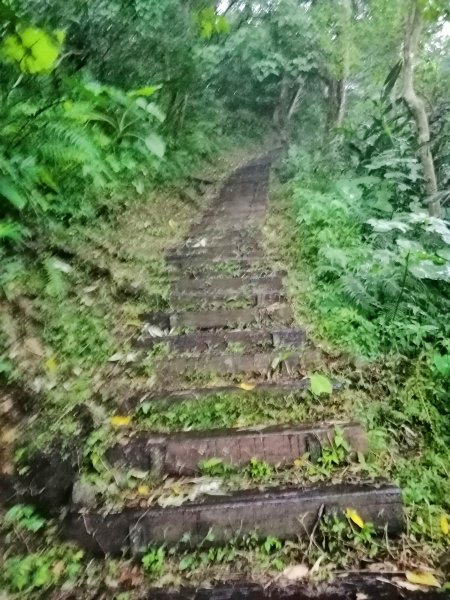 全台獨一無二鐵道相依的登山步道，獨立山738883