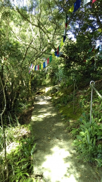 鳶山-福德坑山 105.06.2450387