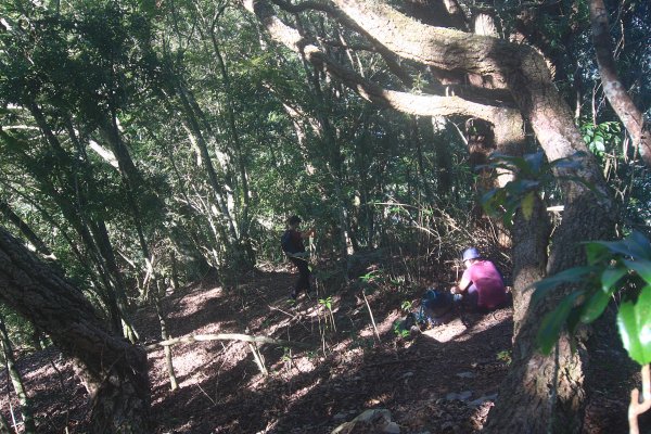 非正規路線上郡大山1504251