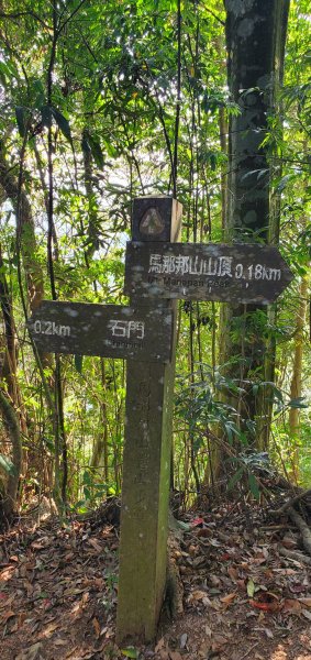 2021-04-11馬那邦山登山步道1346438