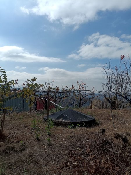 穿霧隘勇線-中三鹿2991744