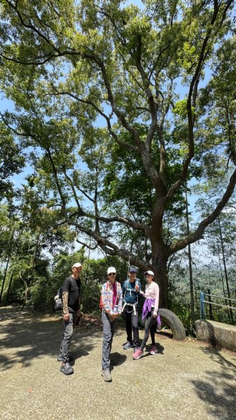 嘉義-圳北古道2763681