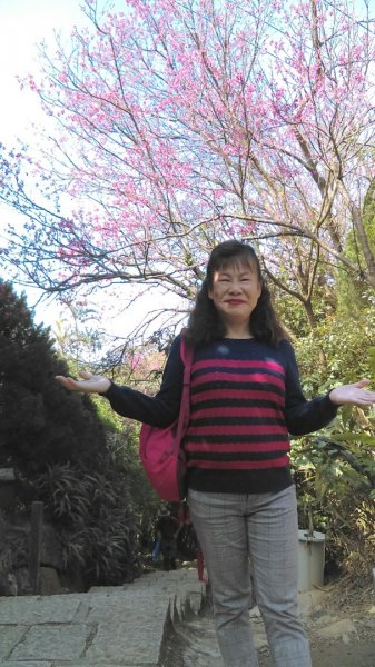 【臺北親山拓印趣】天母古道、中山北路853861