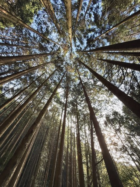 鳶嘴稍來步道賞楓季 ，大雪山門票優惠到12/31！2969541