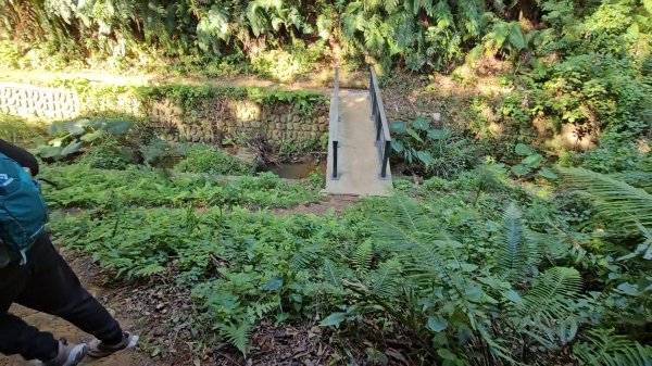 20251215林口森林步道+太平嶺海濱步道2969378