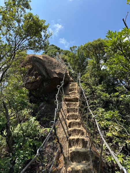 孝子山、普陀山、慈母峰賞鹿子野百合O走2592988