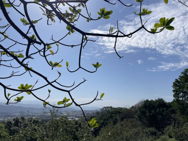 鳳鳴越嶺山佳2708075