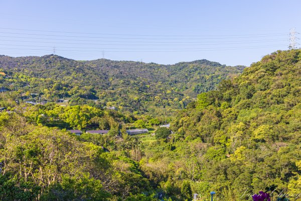 [台北]大崙頭山、碧山巖、忠勇山2746179