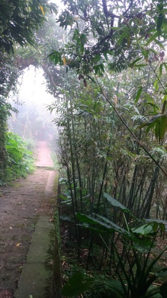 忠義山貴子坑步道510004