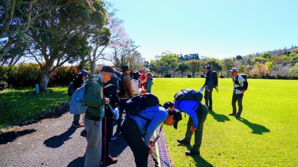 鹿兒島開聞岳,龍宮神社3027931