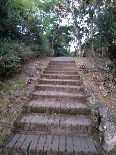 社頂生態保護區1343651