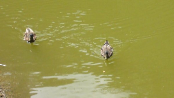 台北大縱走4:尋寶任務：風櫃嘴大湖公園站1069175