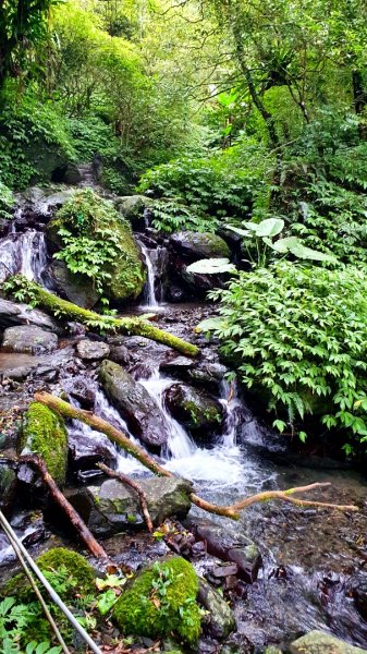 抹茶山，聖母登山步道，隆隆山，福卯古道，水柳腳登山步道，觀音台步道，北勢溪自行車道1742231