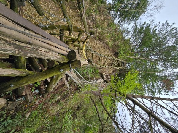 台中大坑4號登山步道2751108