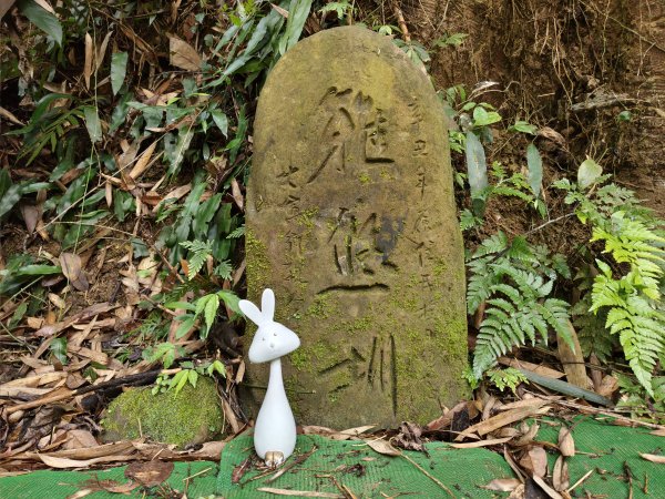 2025/04/13_大窩文史生態區步道2760237