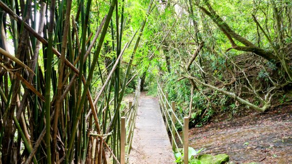 暖東峽谷大環小環2834412