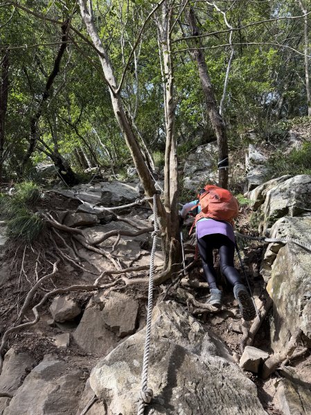 屋東縱走 202503012728980