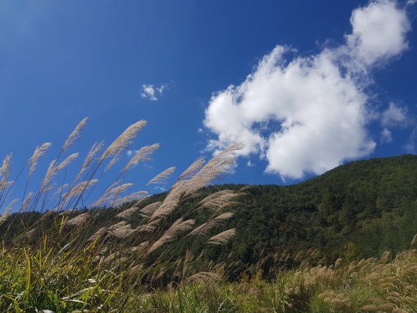 秋色的武陵463390