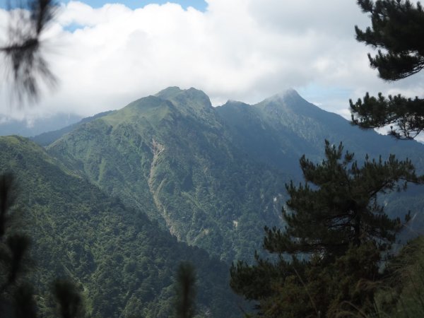 奇萊南華高峰之旅兩天一夜⛰️最受歡迎的新手百岳🏘️1833339