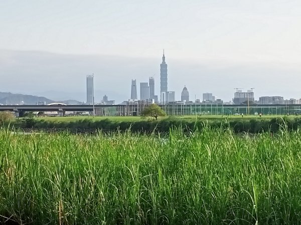 基隆河右岸、美堤河濱公園步道健走慢跑趣2092171