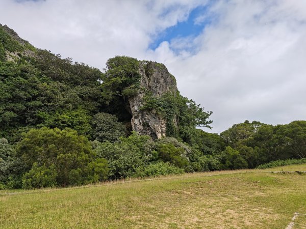 [百山百鳥尋旅-02/15] 2025_0809 社頂自然公園步道2857041