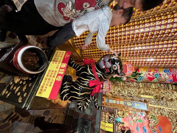 擁抱自然健走趣2843902