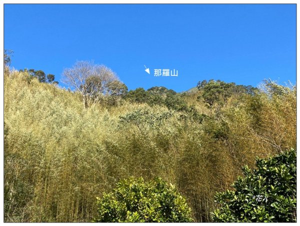 那羅山、煤源山、凌空廊道連走2684209