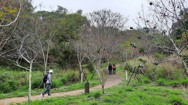 《台中》新春減肥｜龍井竹坑南寮登山步道202202121608736