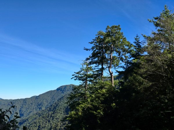 中／大雪山～230林道2648431