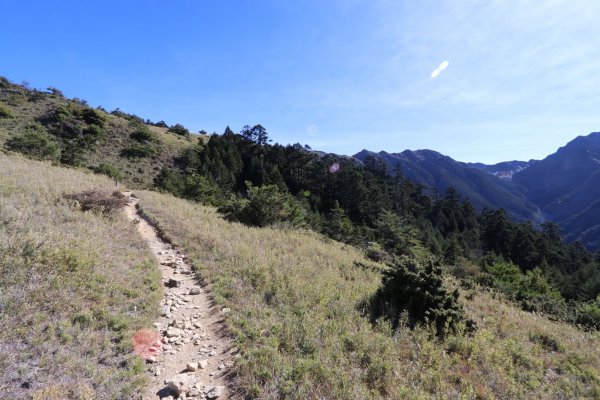 2019.11 南湖大山‧天氣大好744371