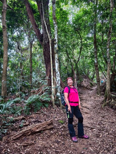 馬那邦山（珠湖登山口）2934019