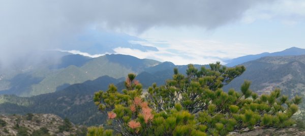 20240320 馬博8天縱走~第五天，馬里亞文路山，馬利加南山2471225