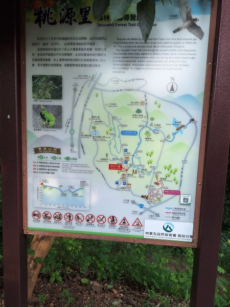 桃源里森林步道+龍鳳谷步道+坑子內山202509062880232