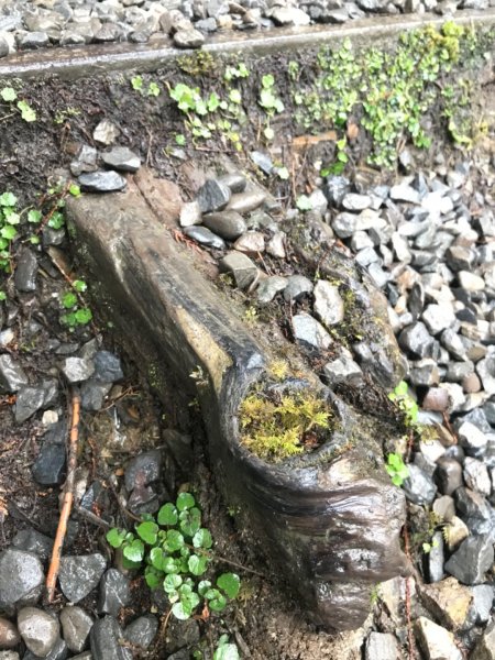 見晴古道。0.9K的抒情浪漫1494535